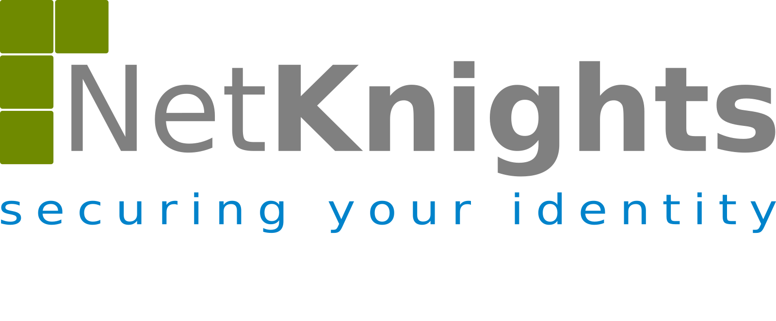 Logo der NetKnights GmbH